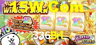 336Brl